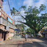 Barre pur-1